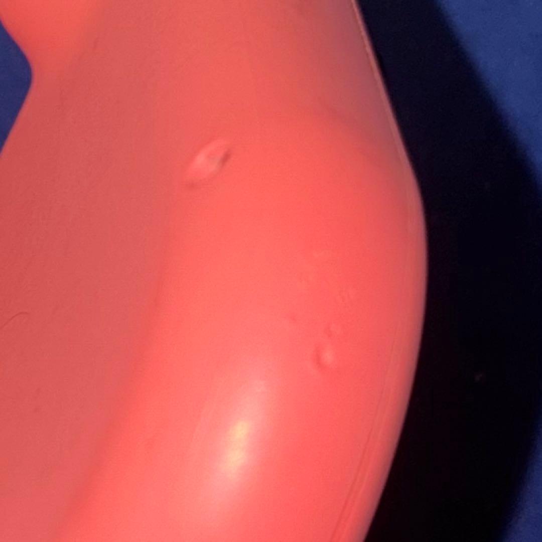 Nintendo switch lite 本体　あつ森　マイクラ　たまごっち