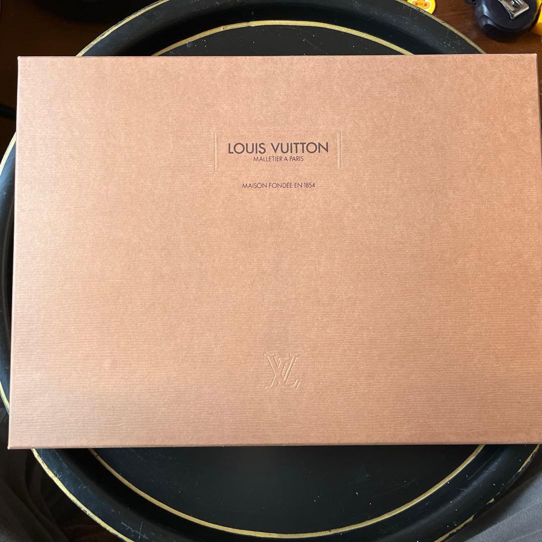 レア‼️　Louis Vuitton ケース　バインダー