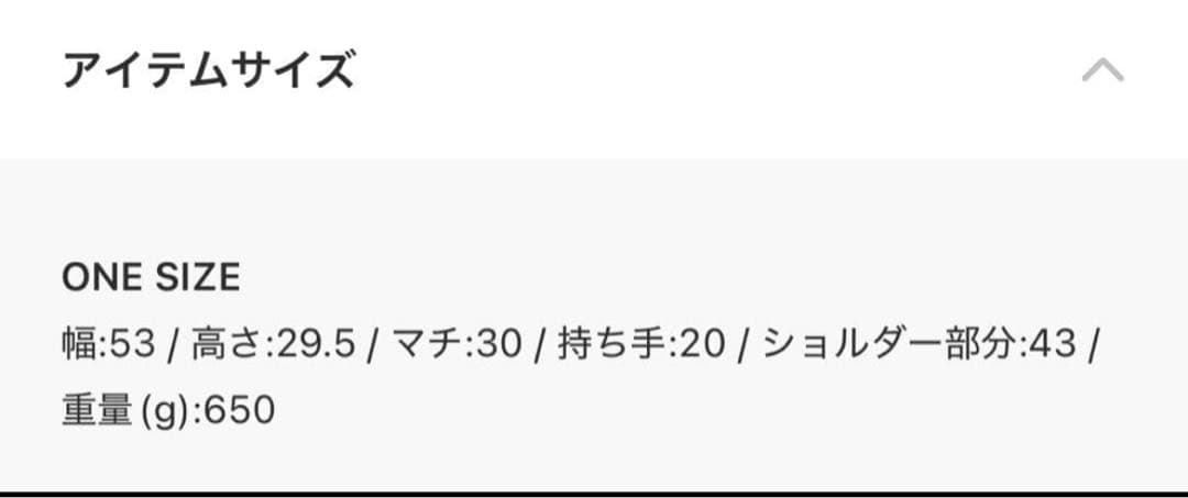 FTC ブラック ボストンバッグ