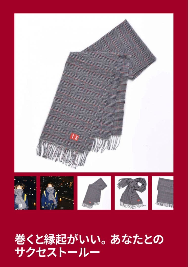 aiko LOVE LIKE POP 24 ツアーグッズ ストール