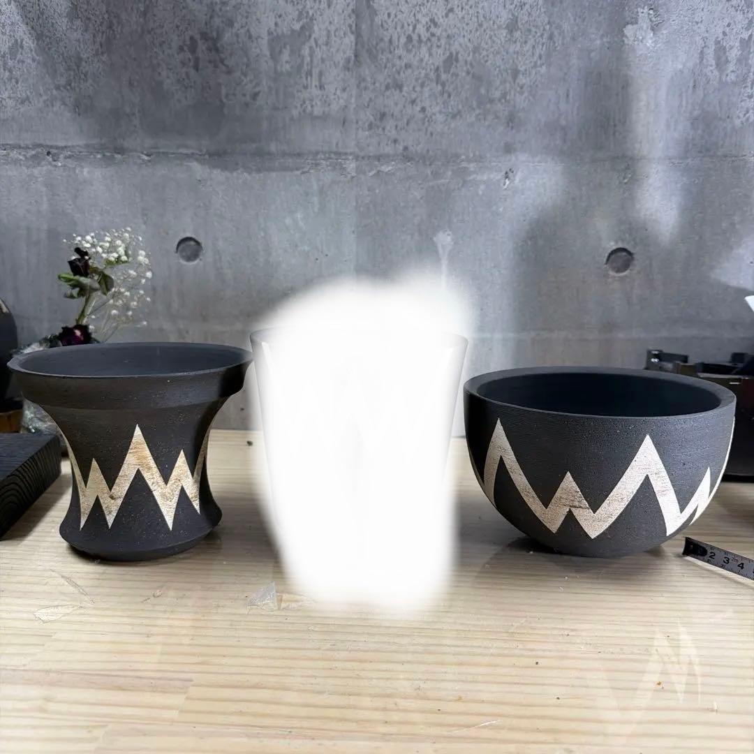 リー 樣確認專用手作植木鉢 XLサイズ 2点検（ 塊根植物 グラキリス パキプス