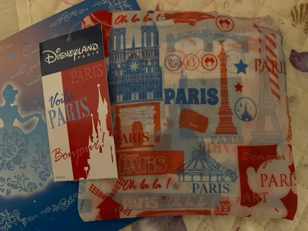 新品未使用　パリディズニー　スーツケース Sサイズ・サブケース付き