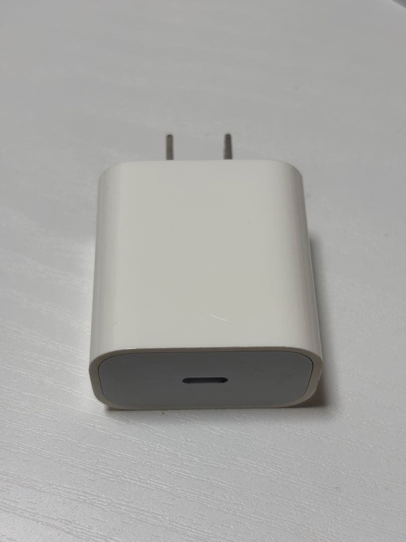 iPad Pro 第1世代 256GB Apple Pencil 第2世代　替芯