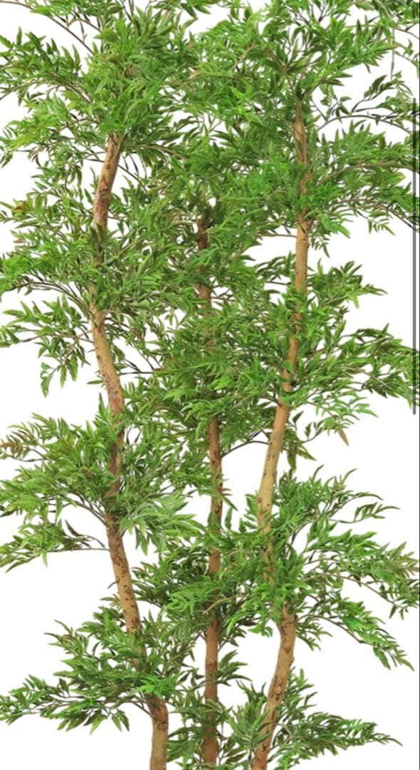 光触媒　人工観葉植物　ウォールグリーン　フェイクグリーン　タイワンモミジ8331