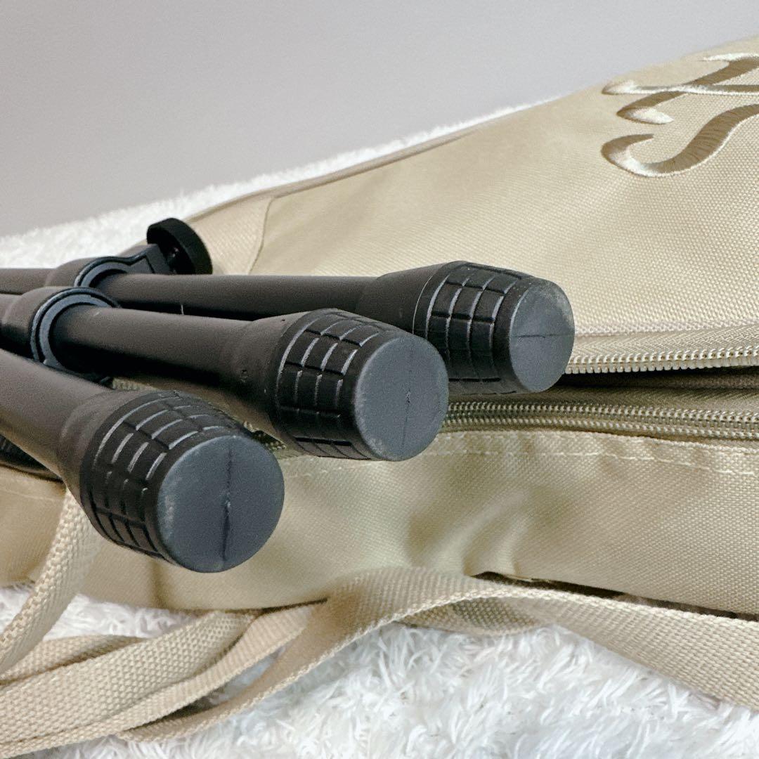 美品　ラップスチールギター　スタンド付　ケース付　サンバースト　SX