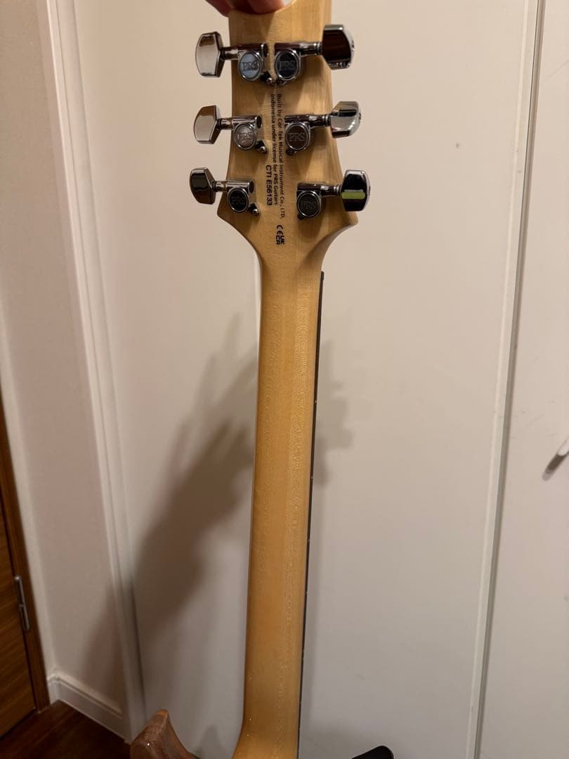 ギター SE Custom24 ryo.oyr621