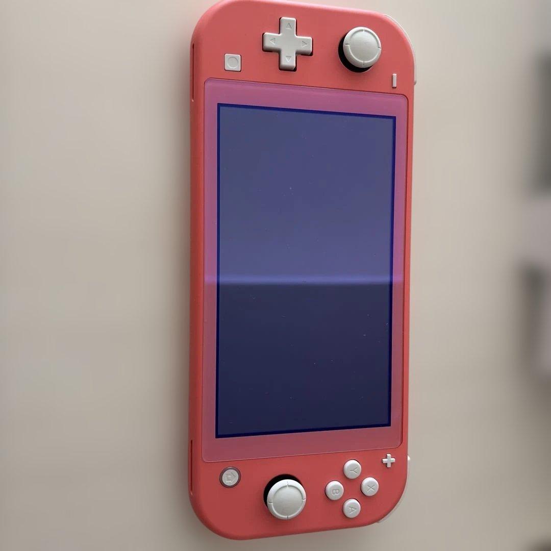【極美品】Nintendo Switch Lite 充電器未使用
