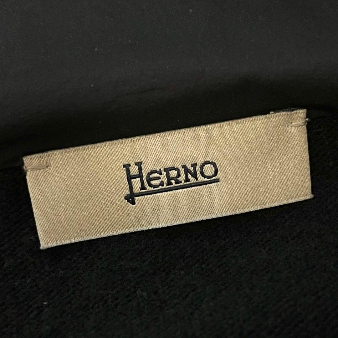 HERNO ダウンジャケット ナイロンパーカー