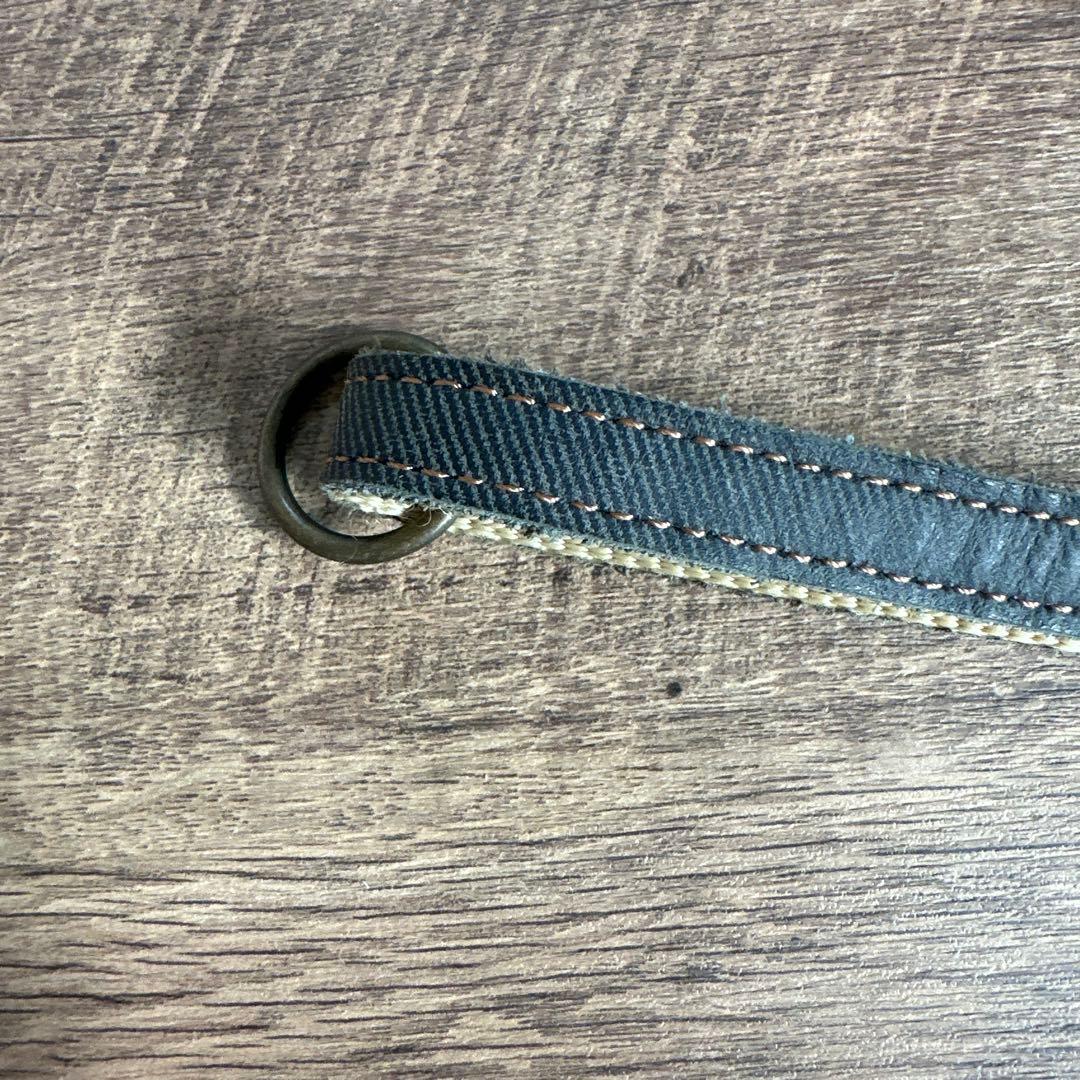 バディベルト　 BB ブルージーン　 4号 クリスタル付き アクセントリード