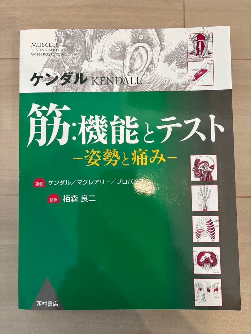 【希少・廃盤】筋・機能とテスト -姿勢と痛み-