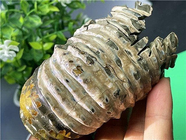 ★貴重－アンモナイト縫合線オパール化石標本B88U3/199U19D