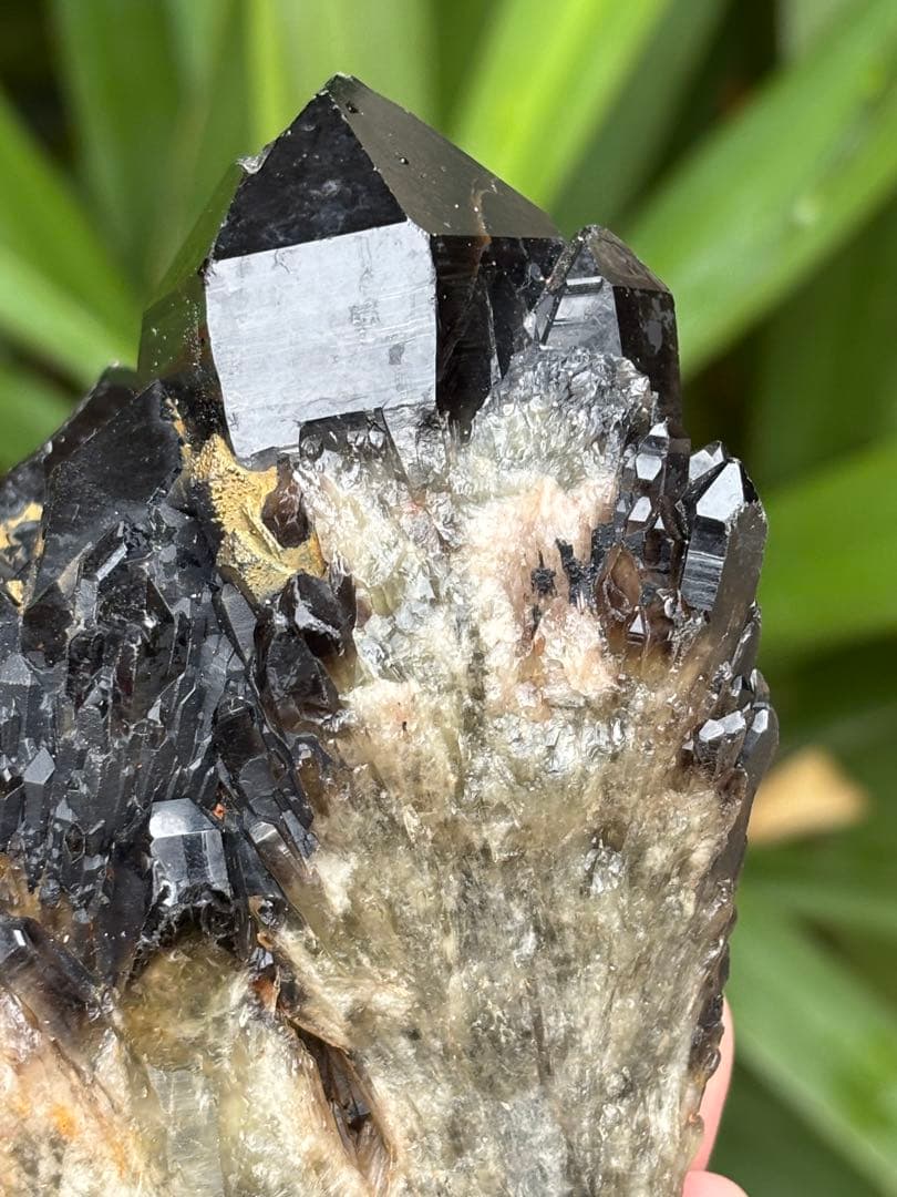 モリオン　黒水晶　キャンドルクォーツ　クラスター　1037g 姿が美しい