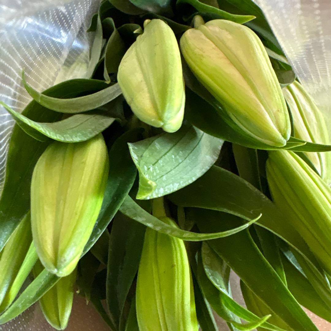 るっち 同梱まとめ買い 混合百合3〜5輪咲き40本 品種シベリア、レクサス