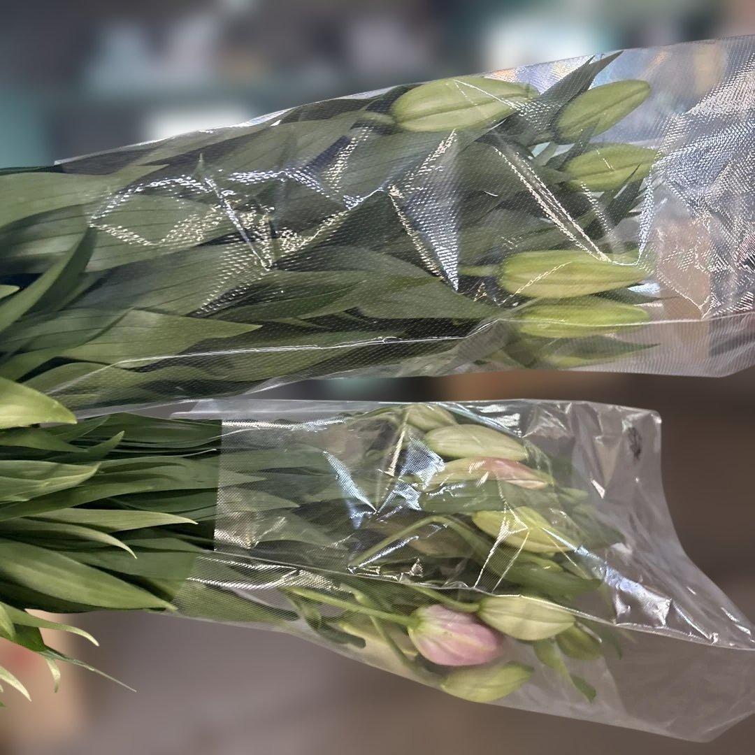 るっち 同梱まとめ買い 混合百合3〜5輪咲き40本 品種シベリア、レクサス