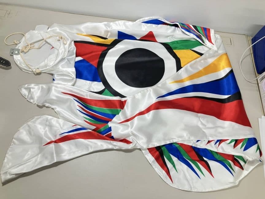 岡本太郎　鯉のぼり　オカモト200　KOINOBORI　白 赤　吹き流しセット