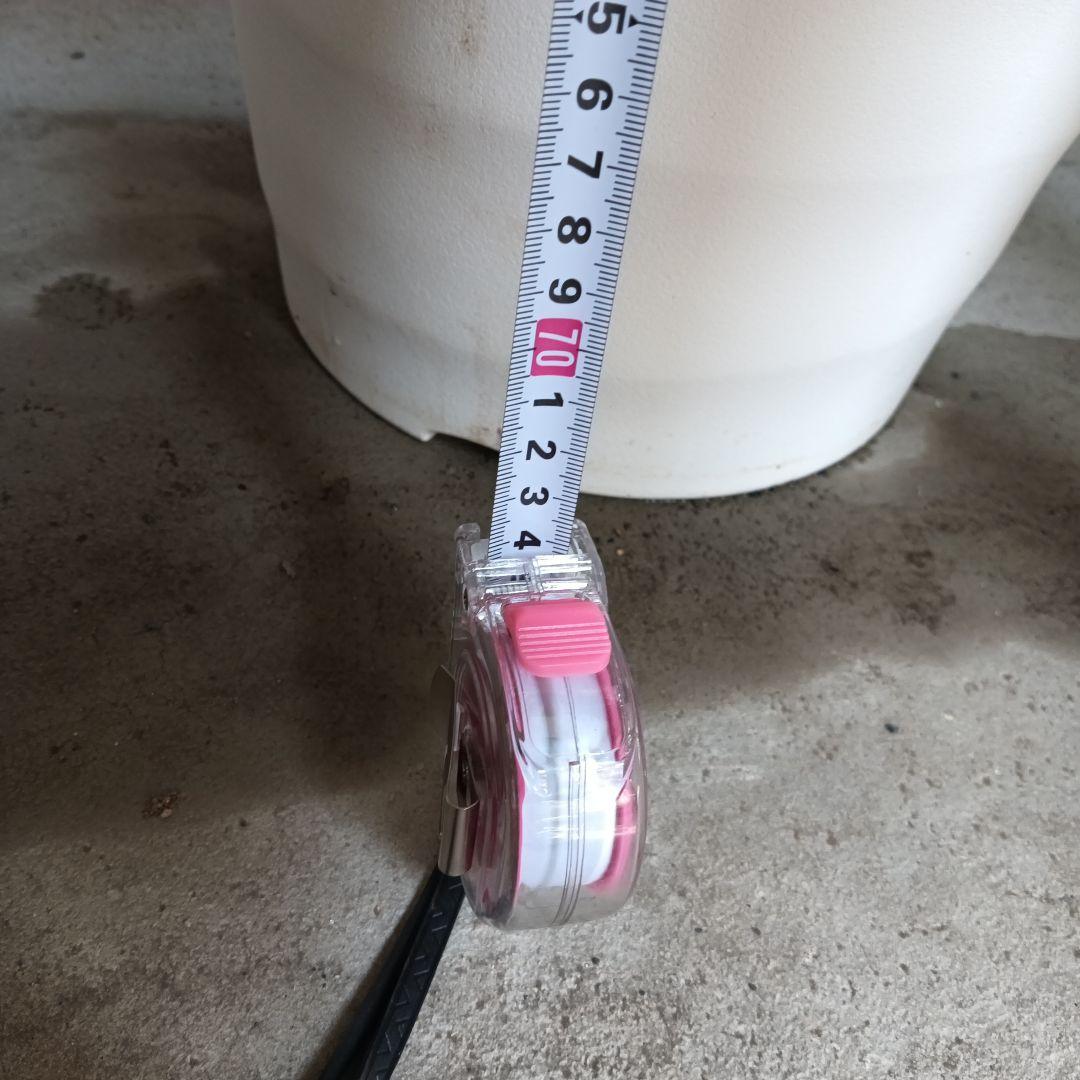 中型観葉植物 波状の緑色の葉　幸福の木　ドラセナ　マッサンゲアナ