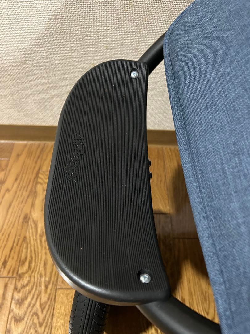 AIRBUGGY エアバギーココダブル　フロムバース　未使用ストローラーマット付