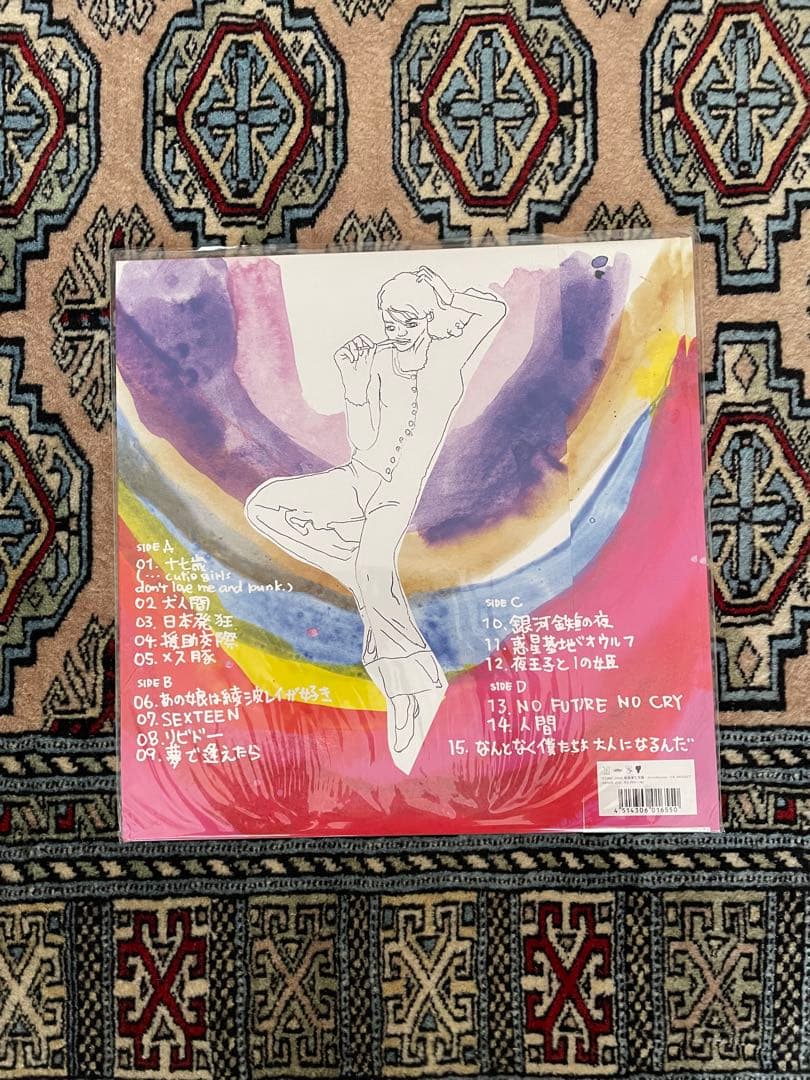 銀杏boyz door レコード