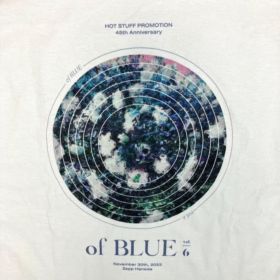 坂本慎太郎 カネコアヤノ LIVE 長袖Tシャツ ロンT 古着 プリント 白 L