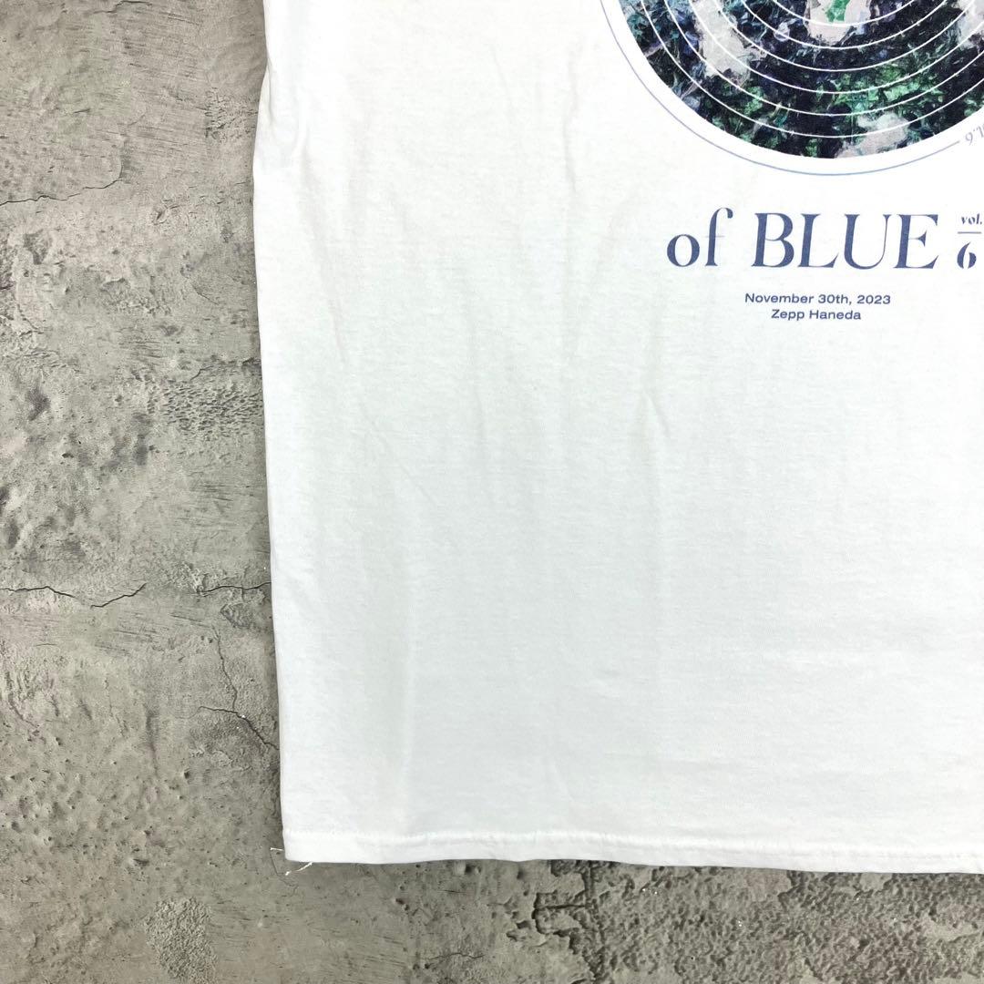 坂本慎太郎 カネコアヤノ LIVE 長袖Tシャツ ロンT 古着 プリント 白 L