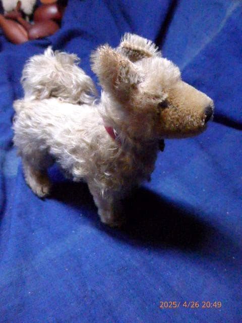 50年代のシュタイフの犬のぬいぐるみです。貴重です