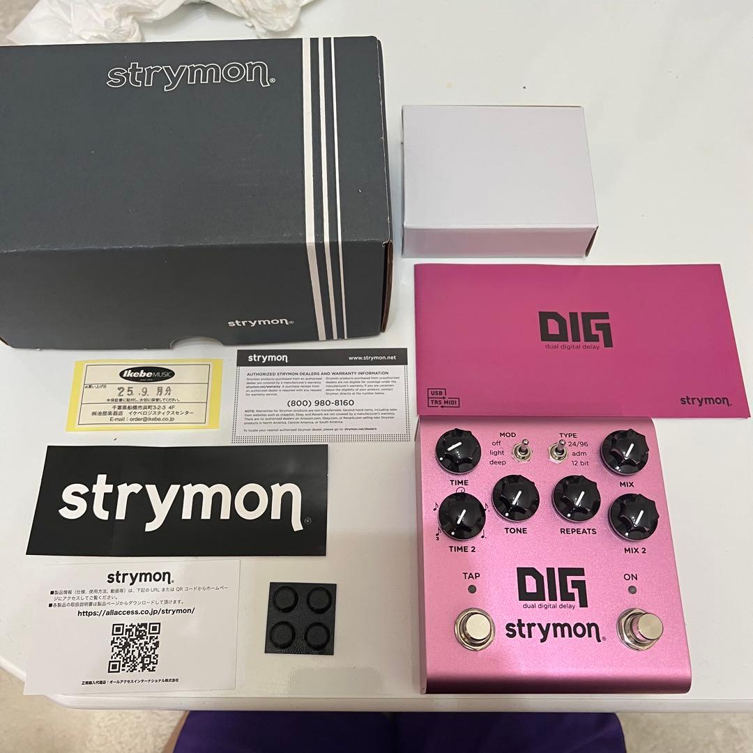 ギター strymon / DIG v2
