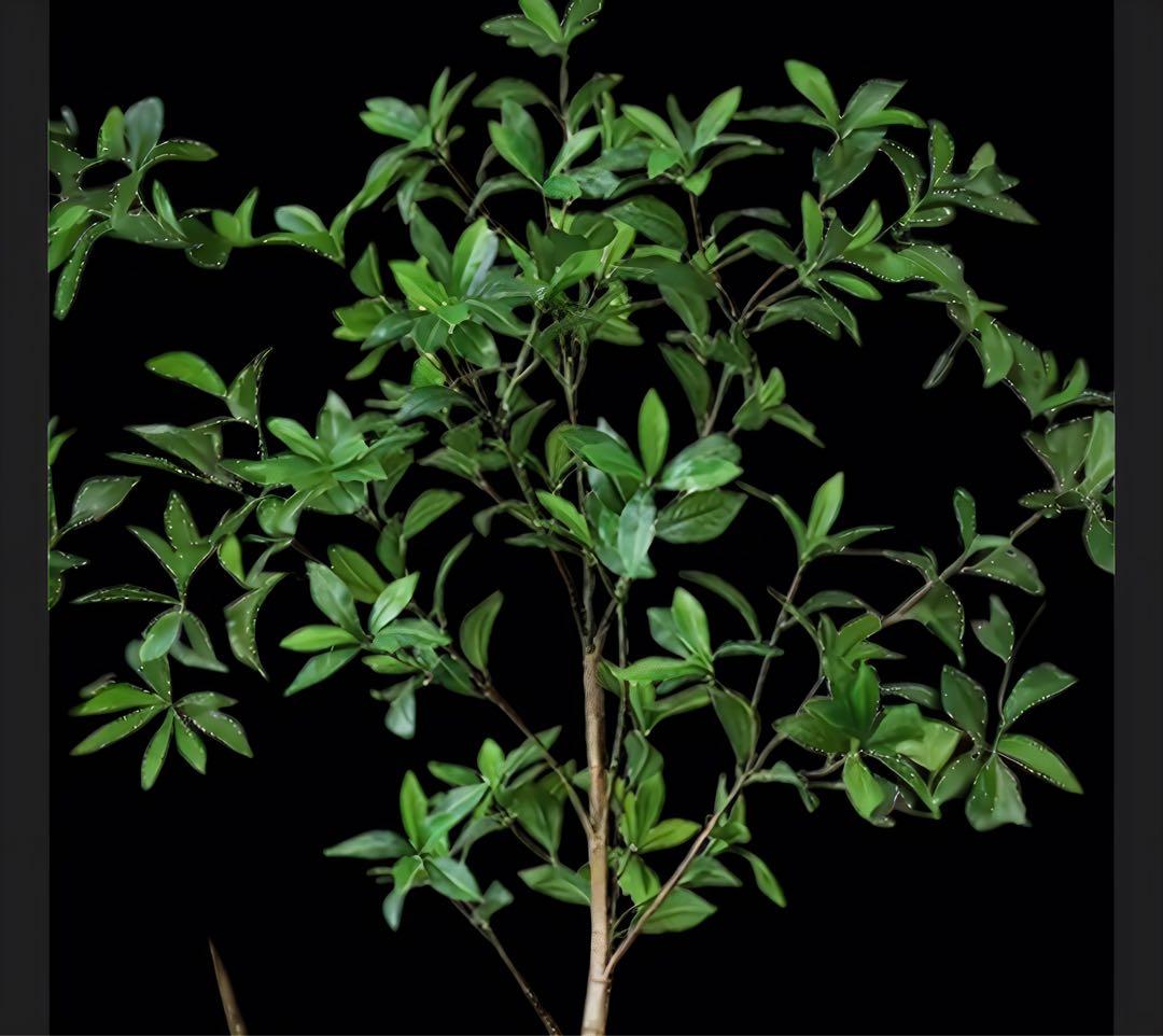 光触媒　人工観葉植物　ウォールグリーン　フェイクグリーン　アセビ8322