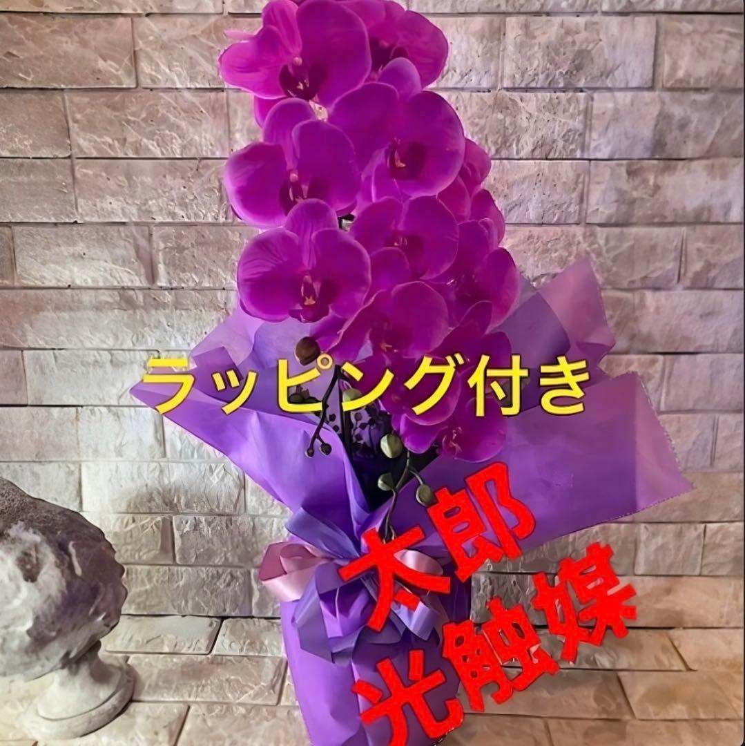 光触媒　人工観葉植物　ウォールグリーン　フェイク　フラワー　リアル胡蝶蘭7070