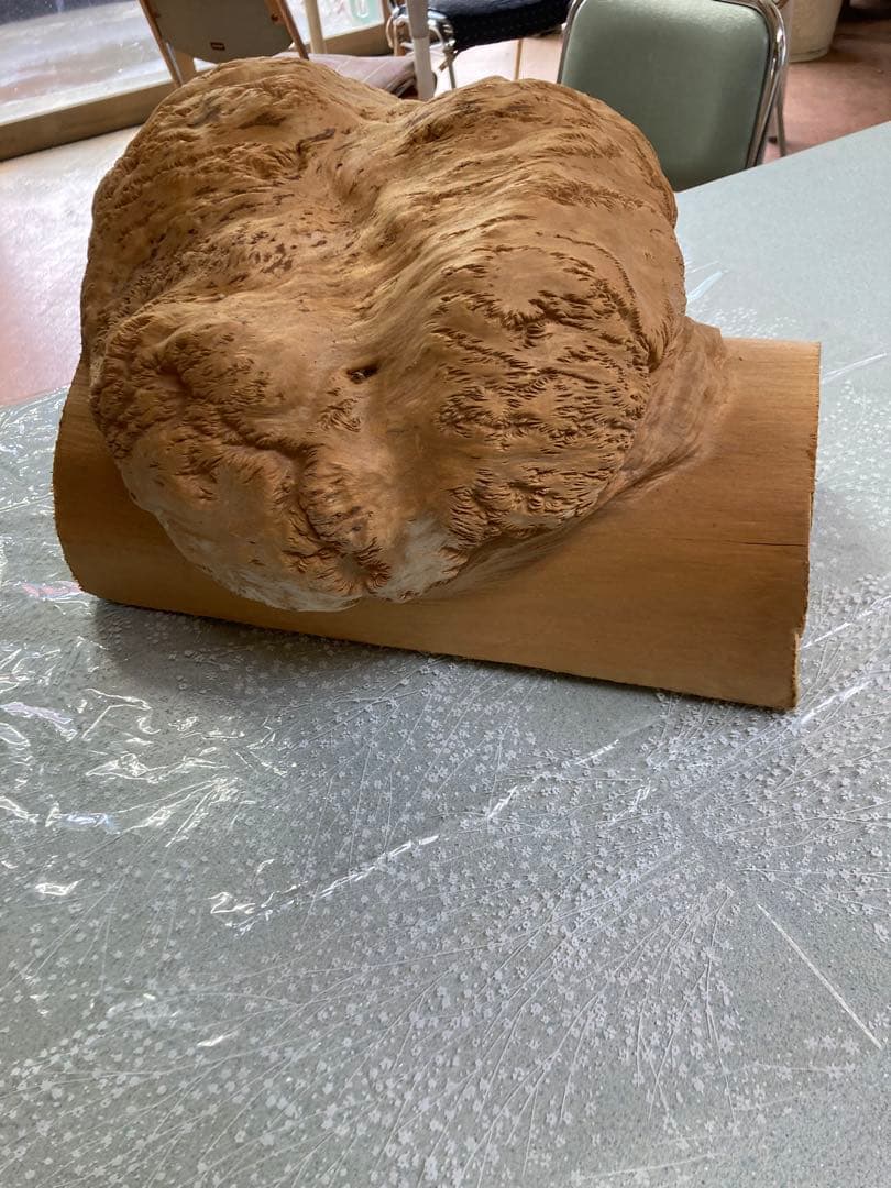 檜のコブ　檜の置物　希少価値あり　細工なし