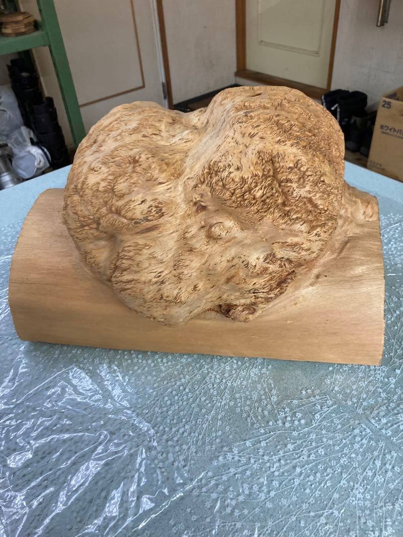 檜のコブ　檜の置物　希少価値あり　細工なし