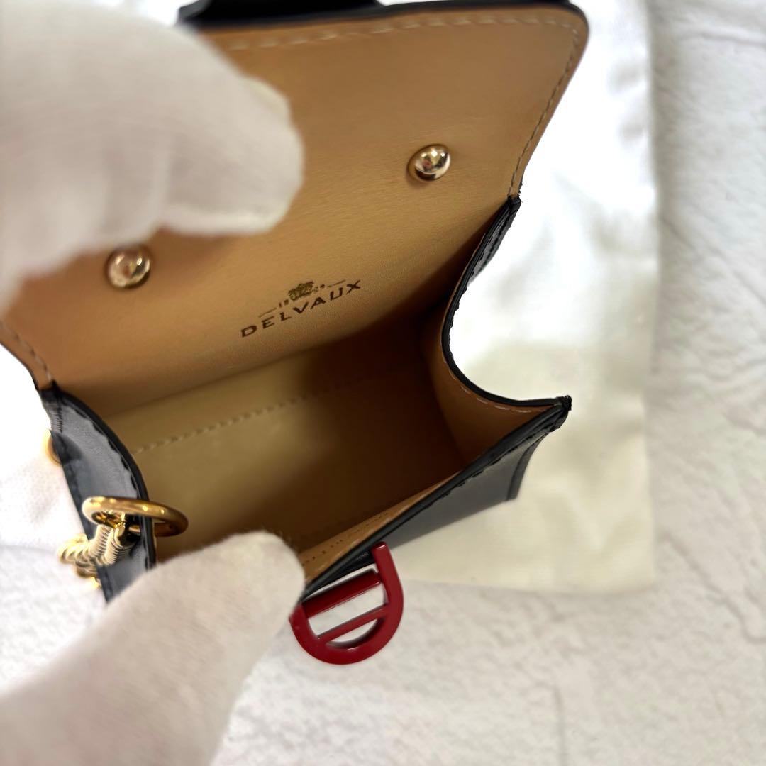 【未使用級/箱付き】デルヴォー ブリヨン バッグチャーム ブラック レザー 黒