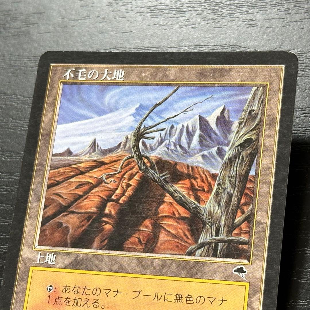 MTG 不毛の大地 日本語 初版 3枚