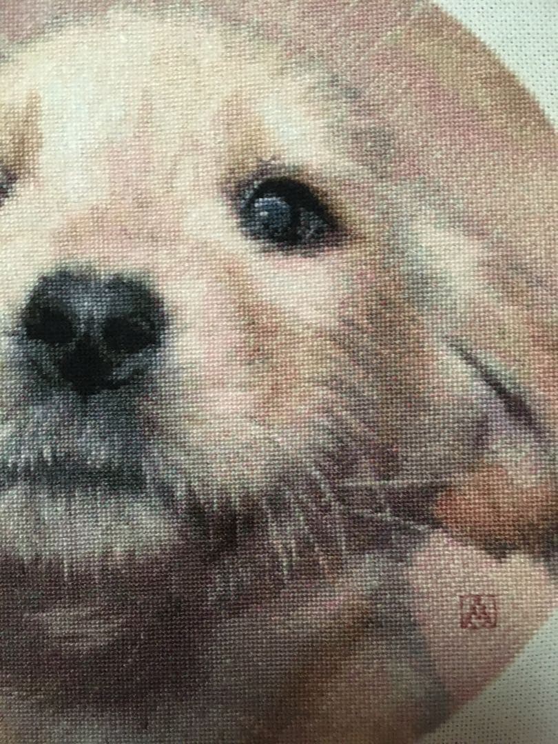 ラブラドールの仔犬　クロスステッチ刺繍完成品　(HAED社　25C) 額付き