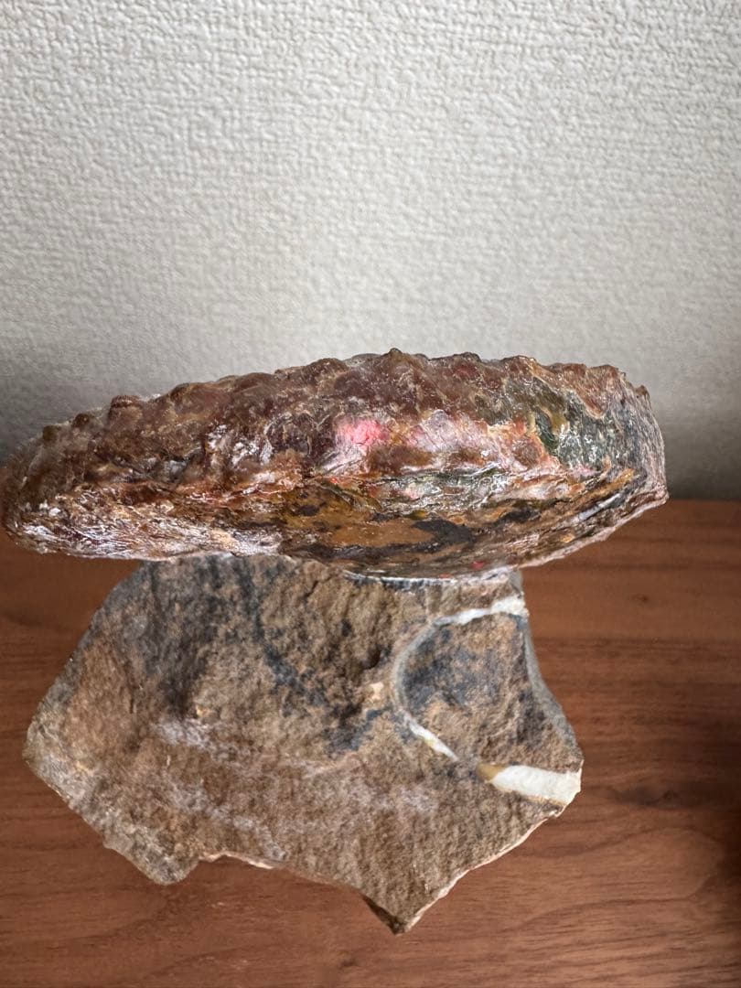 アンモナイト化石 約10cm アクリルスタンド付き