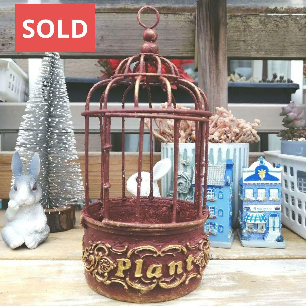 ③アイアン鳥カゴ リメイク鉢(中)