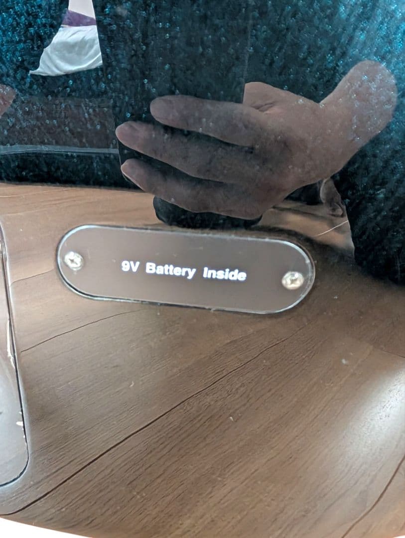 Ibanez SDGR SR350 SR-350 アイバニーズ ソフトケース付き