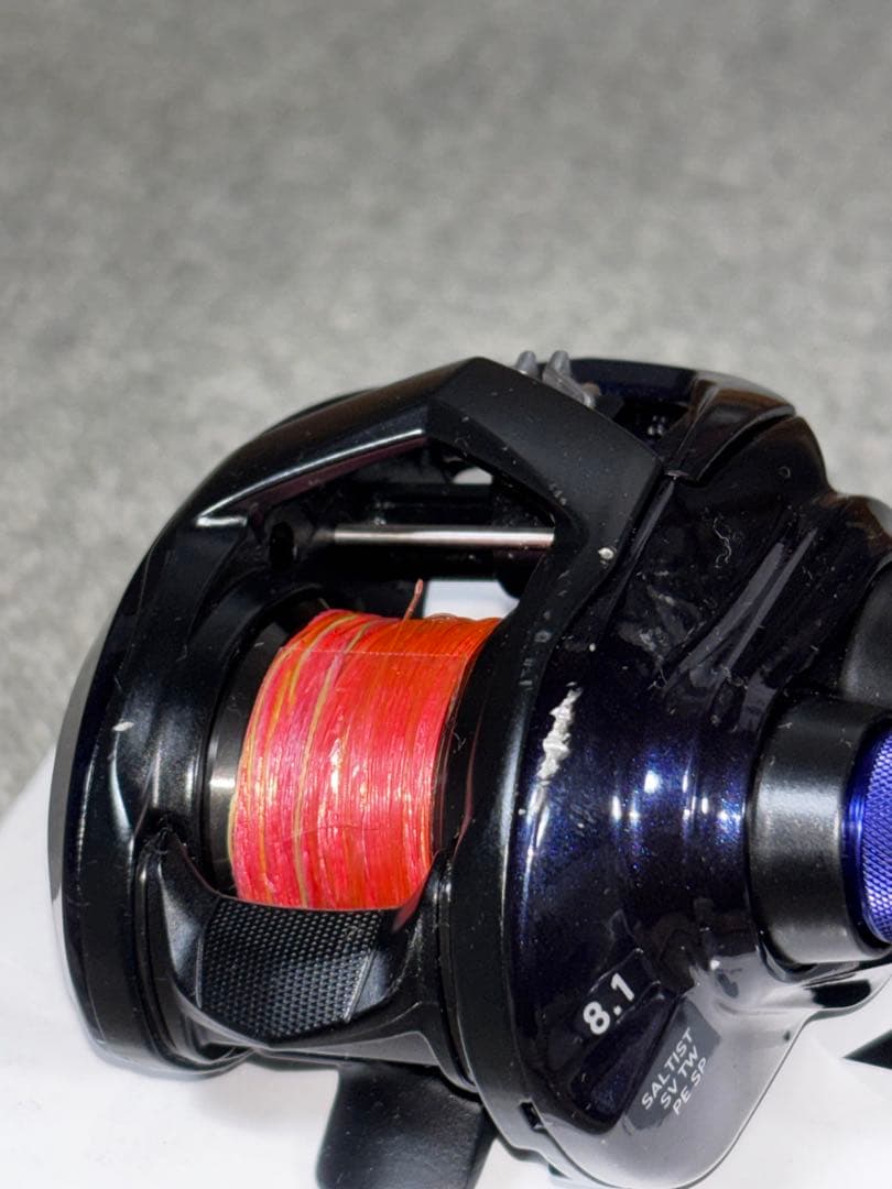 DAIWA SALTIST TW 80XH PE専用