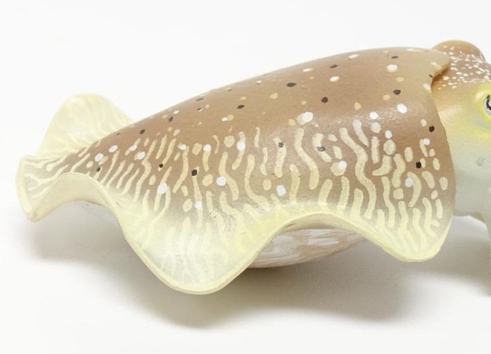 美品　ネイチャーテクニカラー　鳥羽水族館　コブシメ　立体コレクション