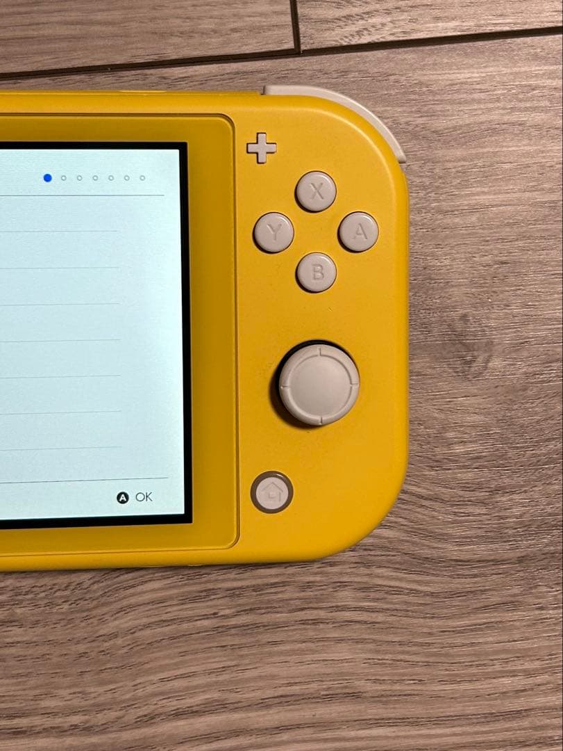 ニンテンドースイッチライト本体のみ