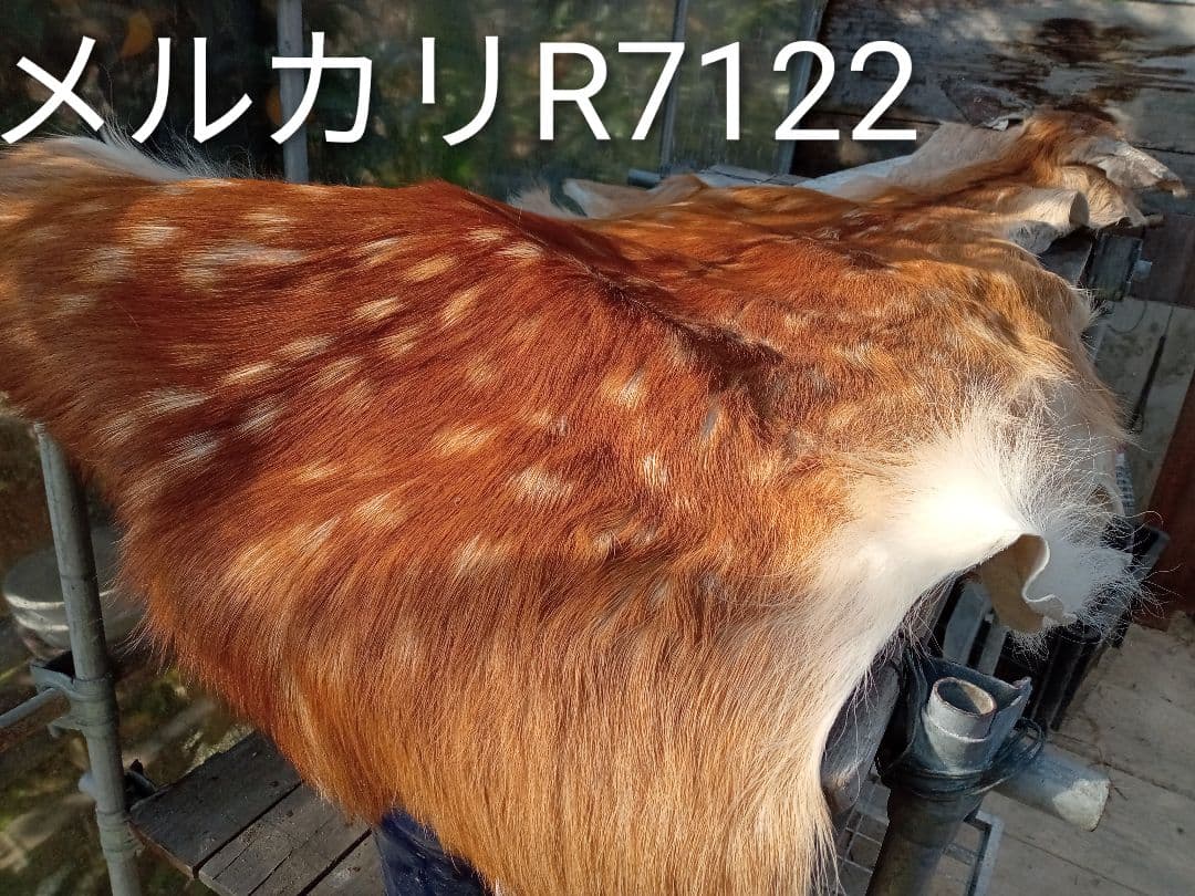 天然　日本鹿　夏毛ラグ