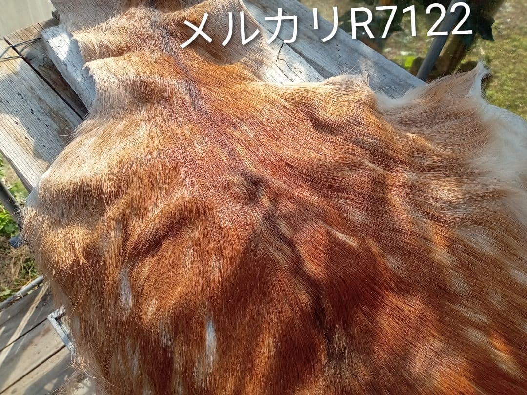 天然　日本鹿　夏毛ラグ
