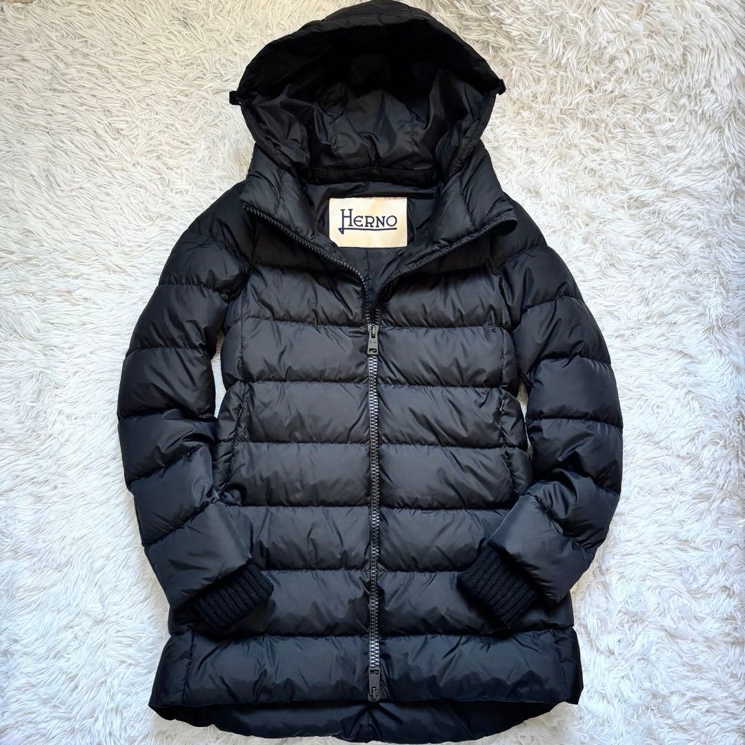 【美品】ヘルノ HERNO ダウンコート ダウンジャケット ナイロンシャモニー