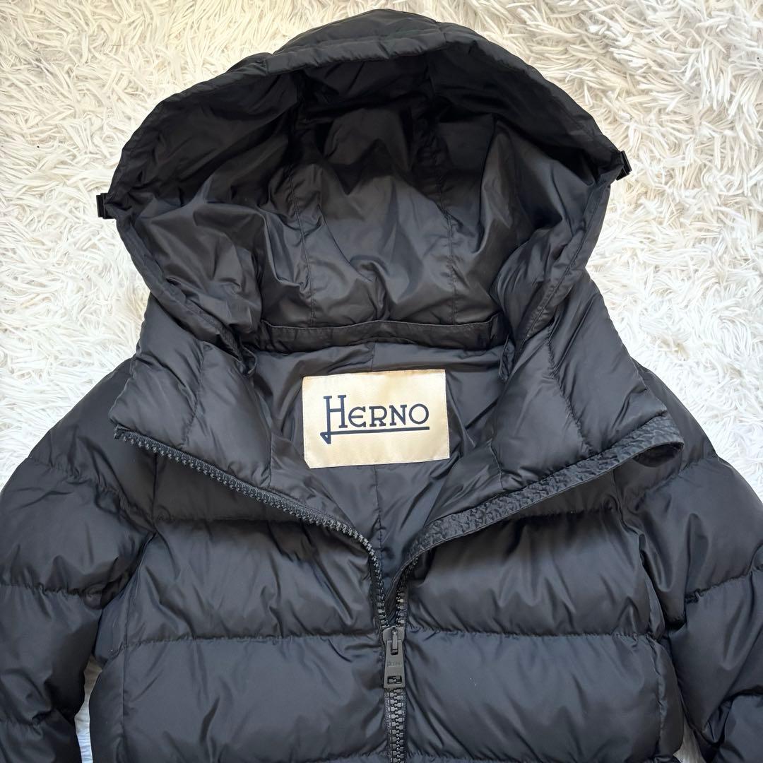 【美品】ヘルノ HERNO ダウンコート ダウンジャケット ナイロンシャモニー