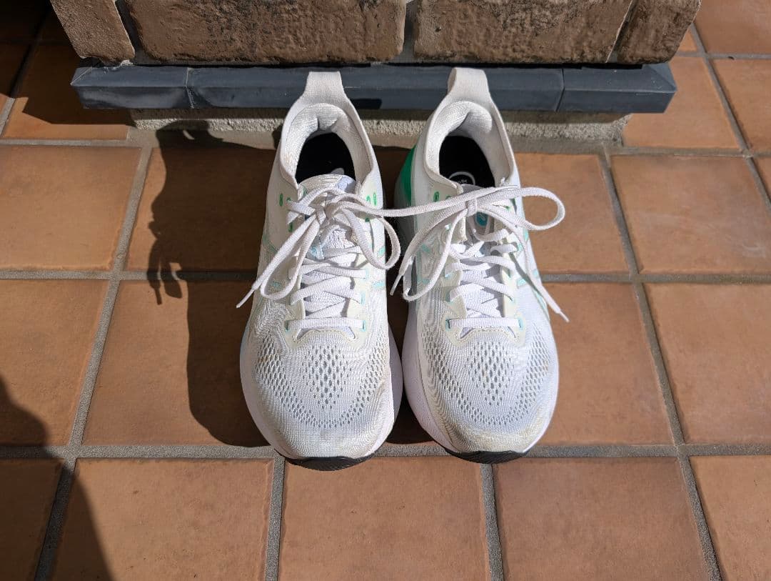 アシックス　ゲルカヤノ 31 27cm