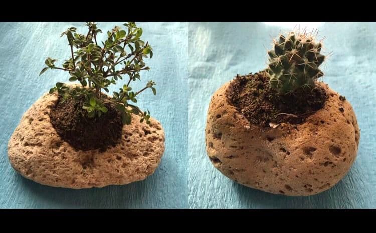 軽石オーダー問い合わせ用