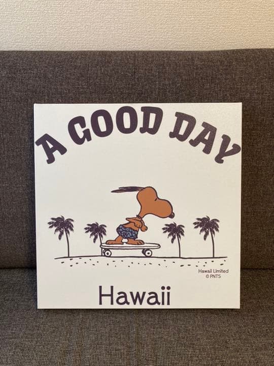 SURF'S UP インテリア キャンバス 日焼けスヌーピー スケボー