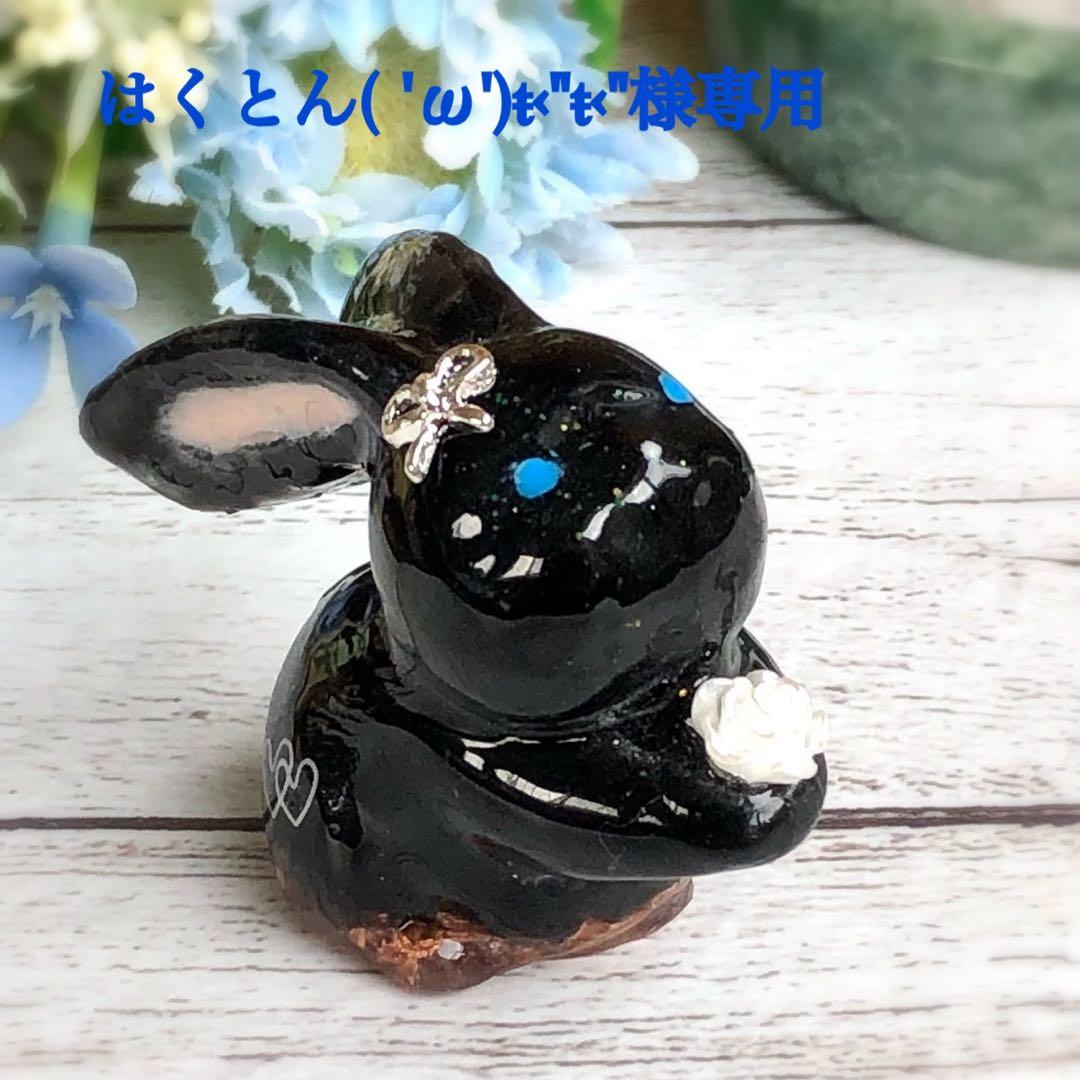 はくとん( 'ω')ŧ‹\