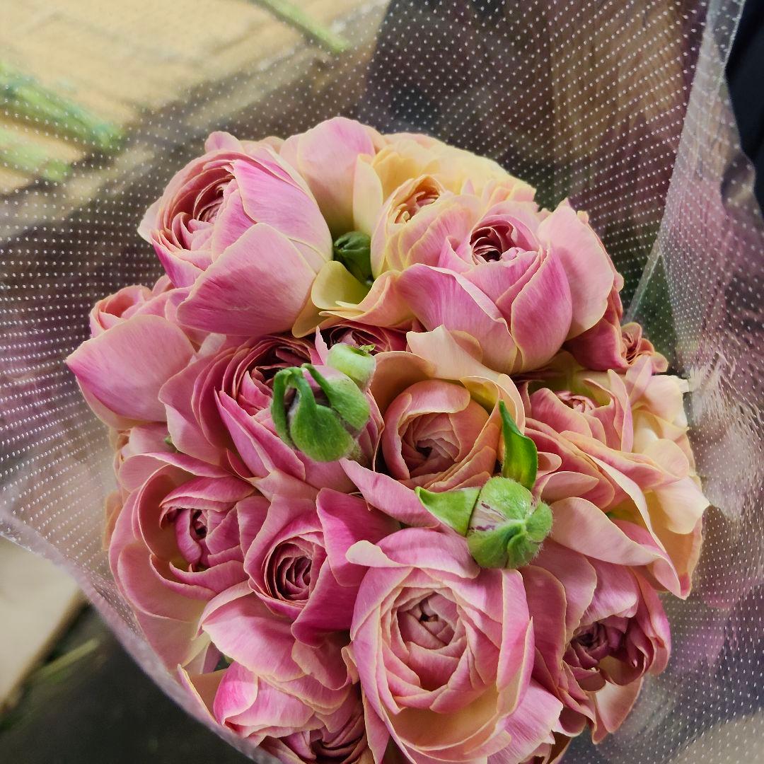 そら様おまとめ[バラ 切り花 生花]1