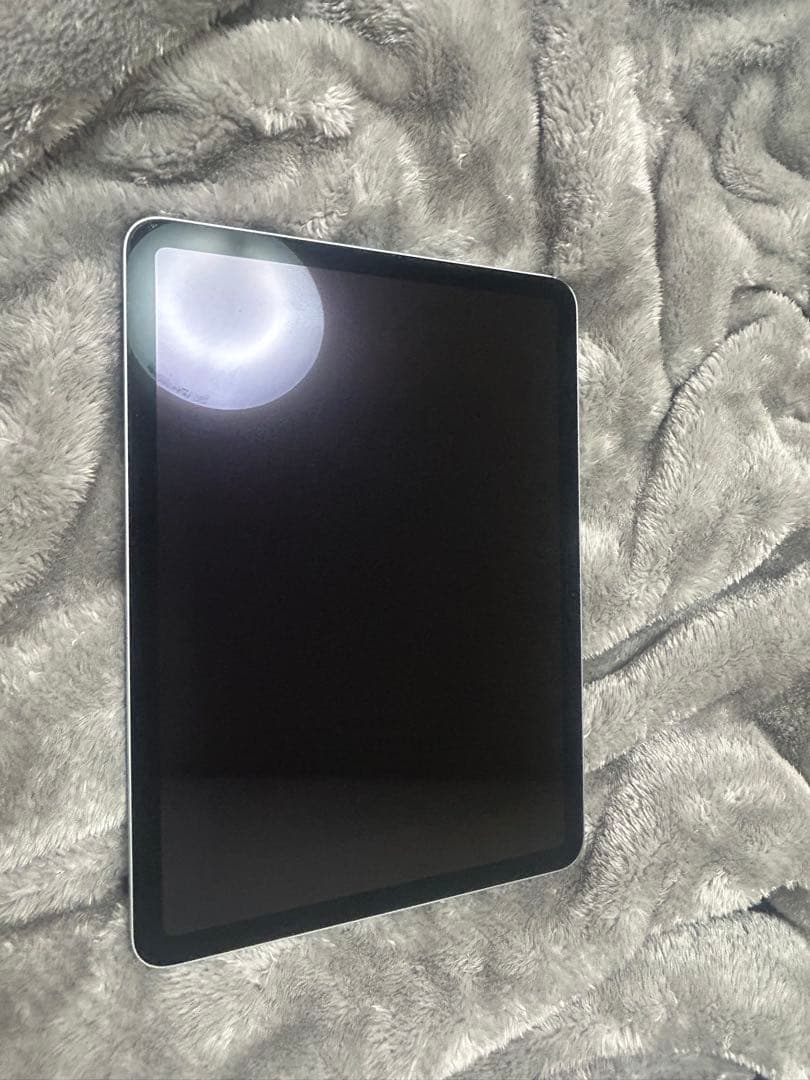 べ*こ様 11インチiPad Air WiFiモデル256GBブルー