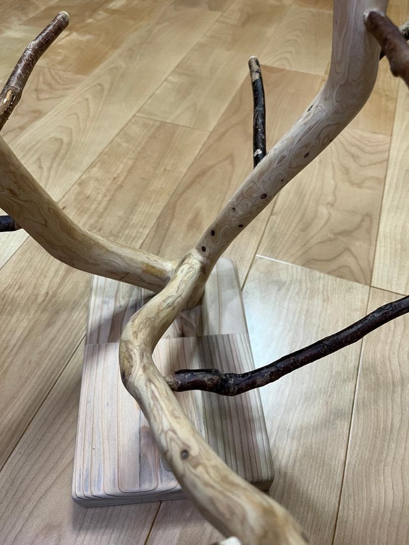 【小鳥さん用】天然木セイヨウズ♬森のバードスタンド